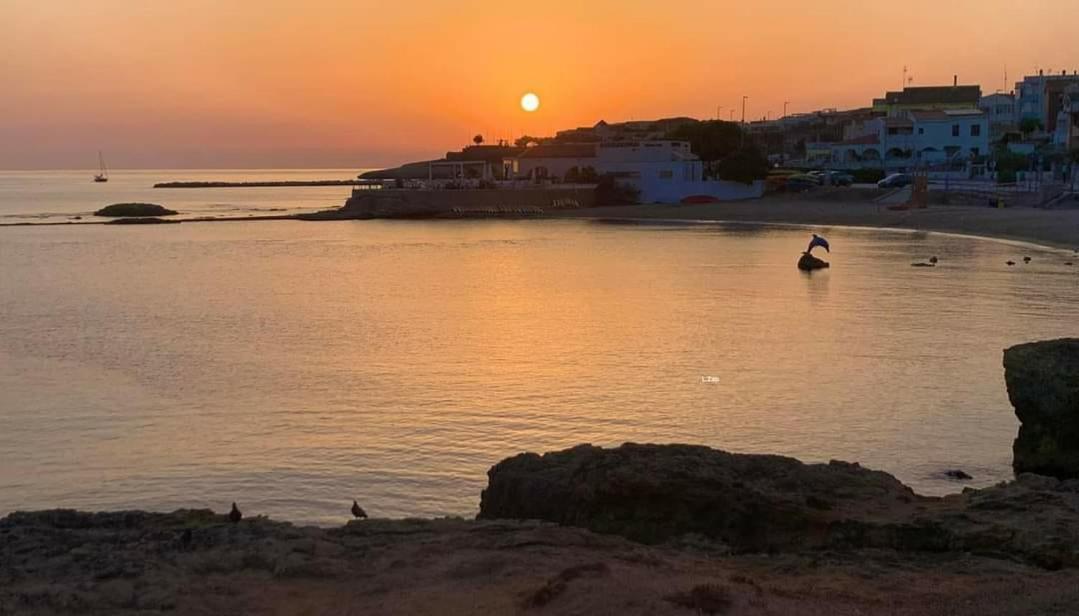 La Fiorita Di Amelie Villa Porto Torres Exterior photo